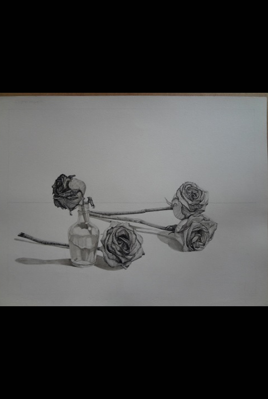 Flores