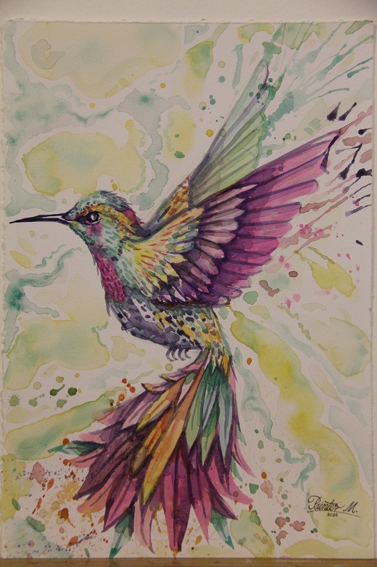 Colibrí