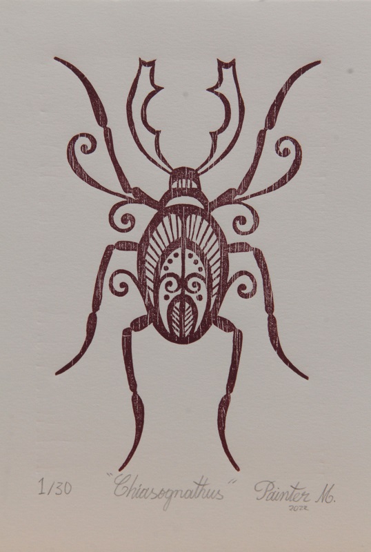 Chiasognathus